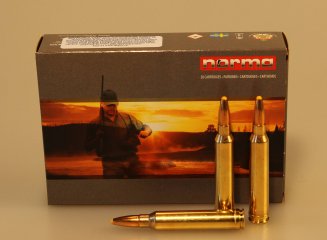 Norma .300 Win. Mag. Plastic point 180 gr