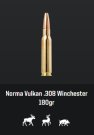 Norma .308 Win. Vulkan, 180 gr